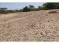 terrain-agricole-de-1513-m2-vers-diama-saint-louis-small-0