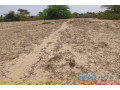 terrain-agricole-de-1513-m2-vers-diama-saint-louis-small-1