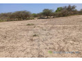 terrain-agricole-de-1513-m2-vers-diama-saint-louis-small-2