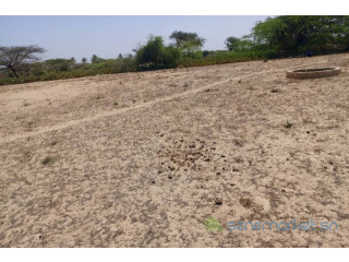 Terrain Agricole de 1513 m² vers Diama Saint Louis