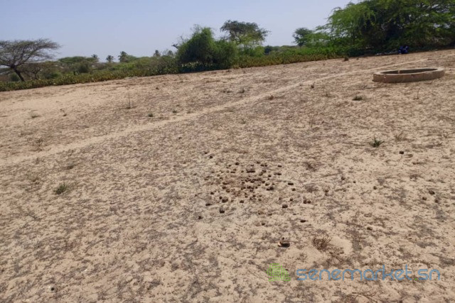 terrain-agricole-de-1513-m2-vers-diama-saint-louis-big-0