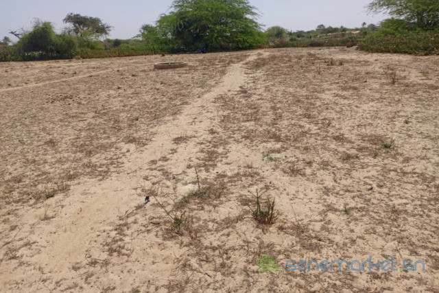 terrain-agricole-de-1513-m2-vers-diama-saint-louis-big-1