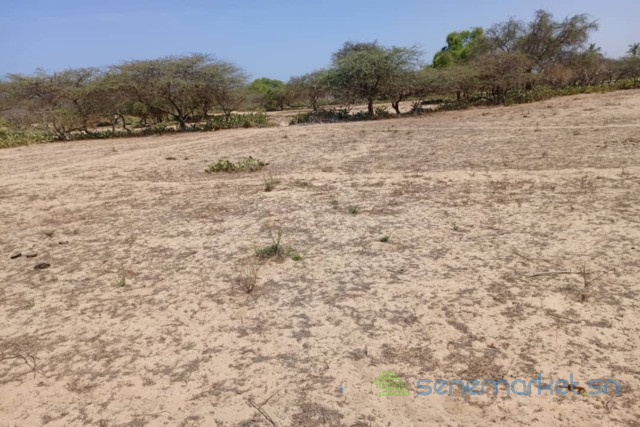 terrain-agricole-de-1513-m2-vers-diama-saint-louis-big-2
