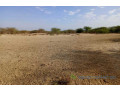 location-de-terrain-agricole-de-348-hectares-vers-diama-saint-louis-small-0