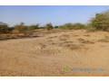 location-de-terrain-agricole-de-348-hectares-vers-diama-saint-louis-small-2