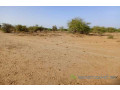 location-de-terrain-agricole-de-348-hectares-vers-diama-saint-louis-small-3