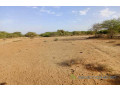 location-de-terrain-agricole-de-348-hectares-vers-diama-saint-louis-small-1