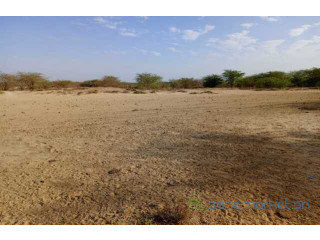 Location de Terrain Agricole de 3,48 hectares vers Diama Saint Louis