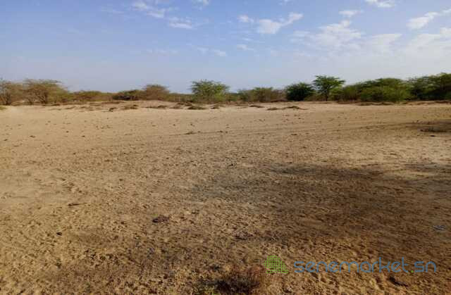location-de-terrain-agricole-de-348-hectares-vers-diama-saint-louis-big-0