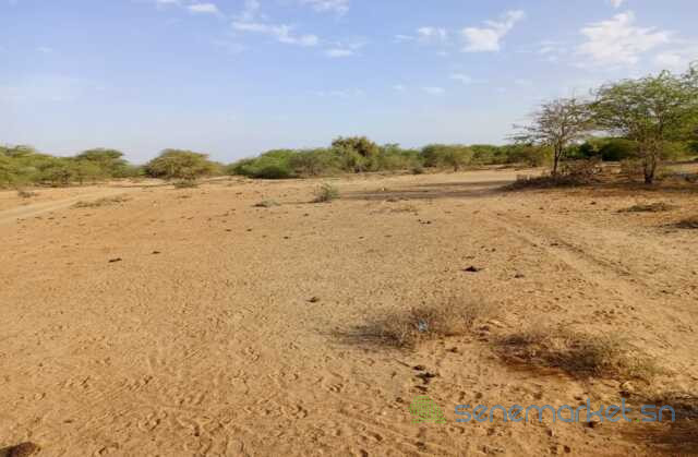 location-de-terrain-agricole-de-348-hectares-vers-diama-saint-louis-big-1