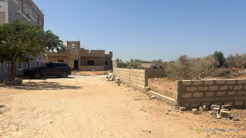 terrains-de-225-metres-carres-a-vendre-a-keur-youngar-big-2