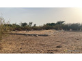 terrain-de-300-metres-carres-a-vendre-a-sinthiou-senegal-small-0