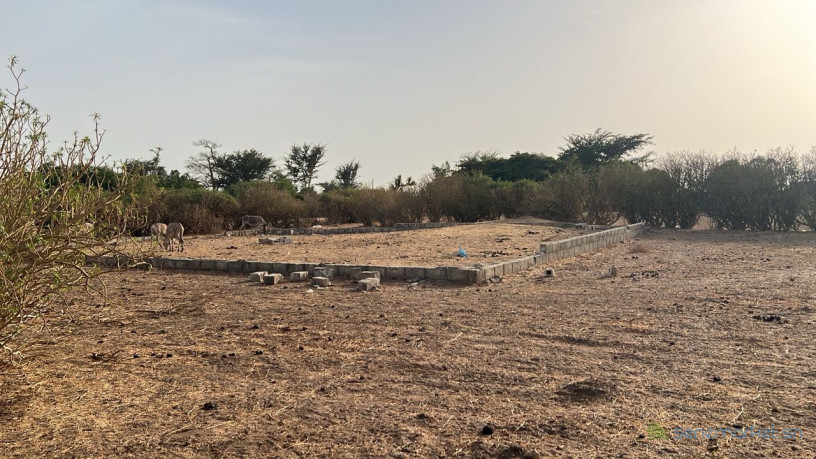 terrain-de-300-metres-carres-a-vendre-a-sinthiou-senegal-big-0