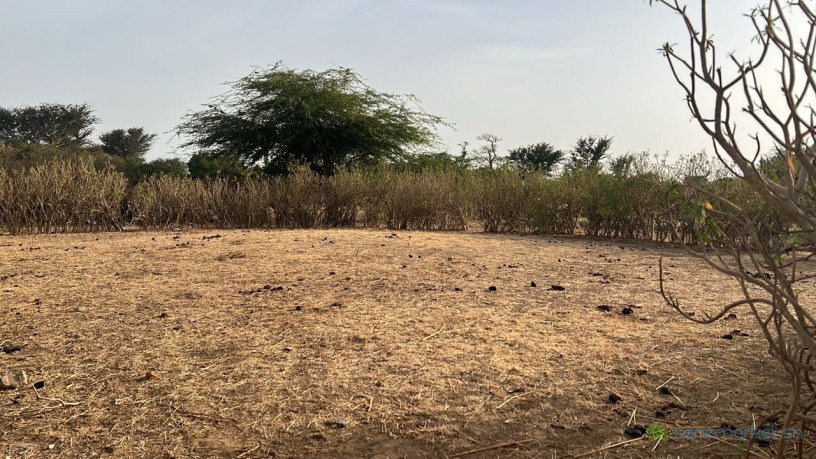 terrain-de-300-metres-carres-a-vendre-a-sinthiou-senegal-big-1