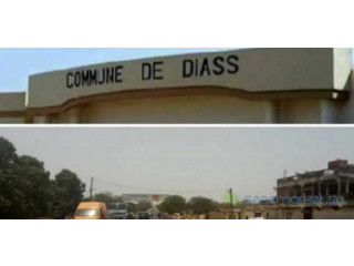Opportunité Terrain DIASS