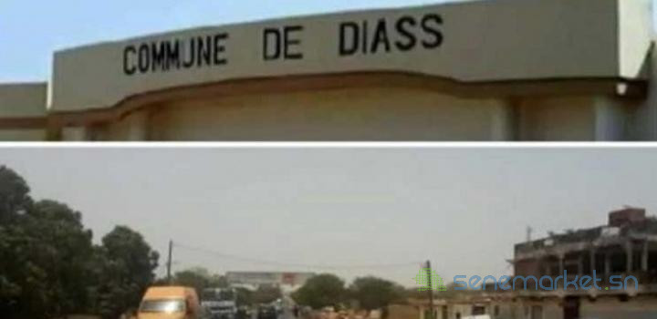opportunite-terrain-diass-big-0