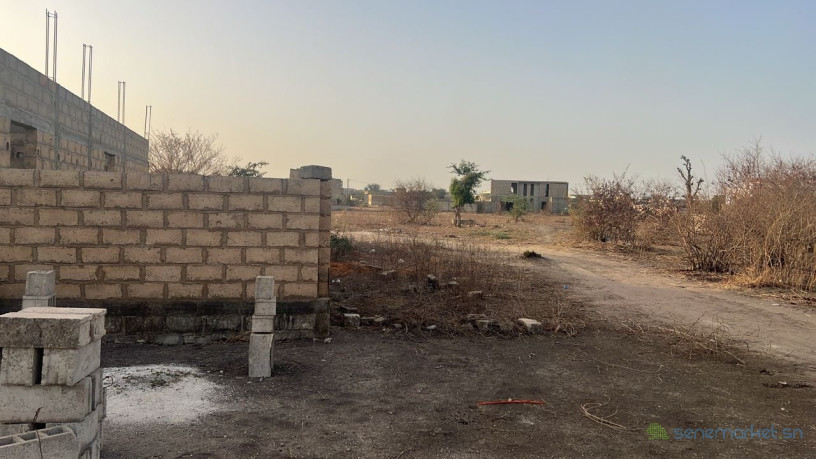 terrain-de-225-metres-carres-a-vendre-a-gandigal-sn-big-2