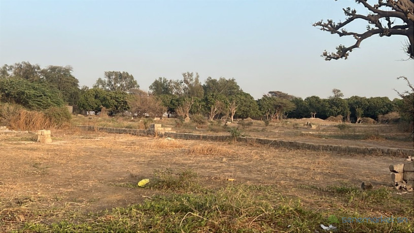 terrain-de-150-metres-carres-a-vendre-a-keur-youngar-big-1