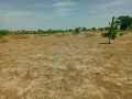 investissement-denvergures-959-hectares-vers-notto-diobass-thies-small-1