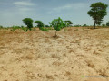 investissement-denvergures-959-hectares-vers-notto-diobass-thies-small-0