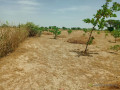 investissement-denvergures-959-hectares-vers-notto-diobass-thies-small-2