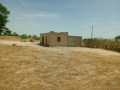 investissement-denvergures-959-hectares-vers-notto-diobass-thies-small-3