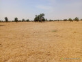 vaste-terrain-agricole-de-1165-hectares-vers-dalla-ngabou-small-1