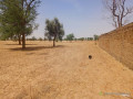 vaste-terrain-agricole-de-1165-hectares-vers-dalla-ngabou-small-3