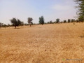 vaste-terrain-agricole-de-1165-hectares-vers-dalla-ngabou-small-2