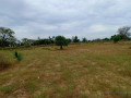 terrain-agricole-de-4300-m2-vers-tassette-thies-small-2