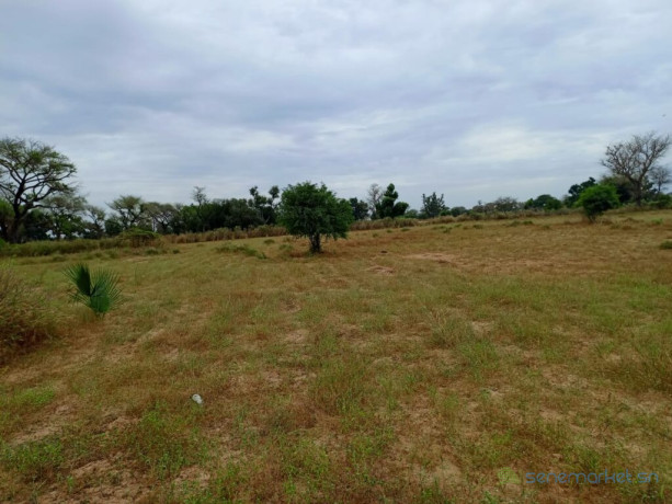 terrain-agricole-de-4300-m2-vers-tassette-thies-big-2