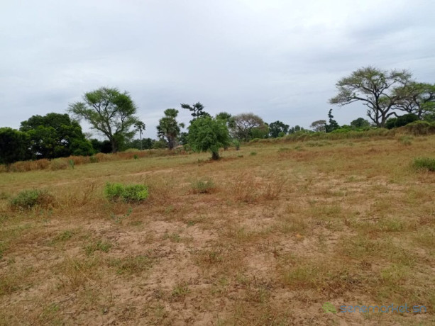 terrain-agricole-de-4300-m2-vers-tassette-thies-big-1