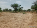 terrain-agricole-de-414-hectares-vers-thienaba-thies-small-2