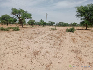 Terrain Agricole de 4,14 Hectares vers Thiénaba Thiès