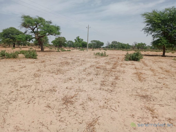 terrain-agricole-de-414-hectares-vers-thienaba-thies-big-0