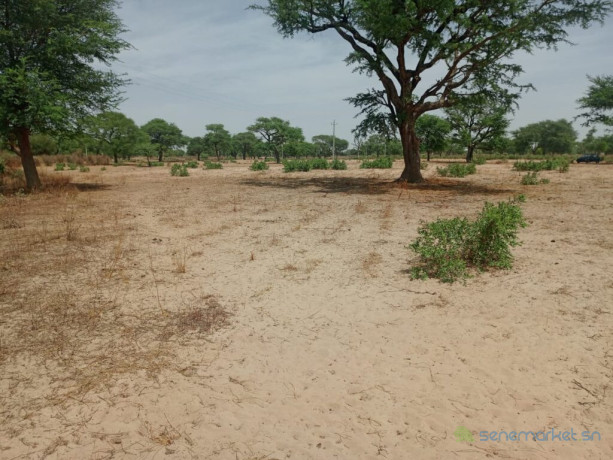 terrain-agricole-de-414-hectares-vers-thienaba-thies-big-3