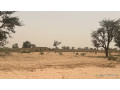 terrain-de-225-m2-a-vendre-a-malicounda-senegal-small-1