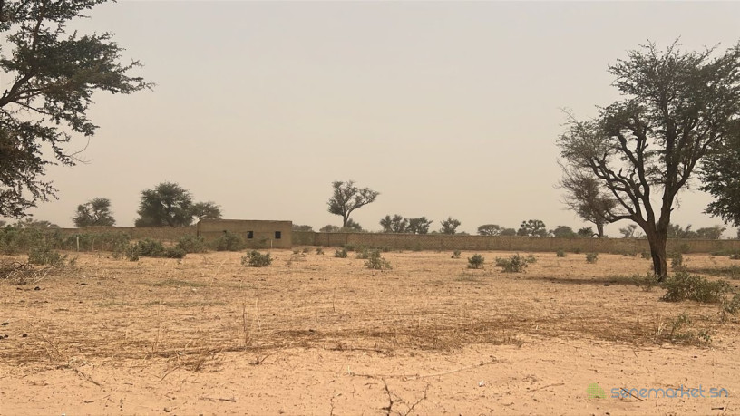 terrain-de-225-m2-a-vendre-a-malicounda-senegal-big-1