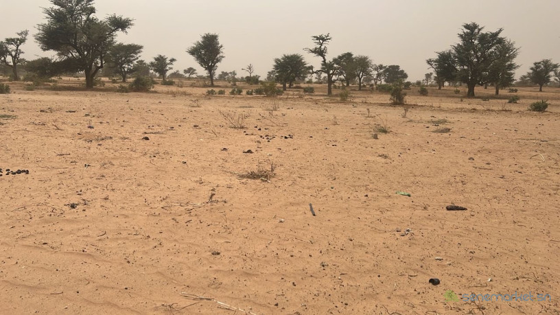 terrain-de-225-m2-a-vendre-a-malicounda-senegal-big-2