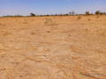 haute-productivite-vaste-terrain-agricole-de-271-hectares-vers-tassette-small-0