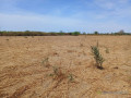 haute-productivite-vaste-terrain-agricole-de-271-hectares-vers-tassette-small-2