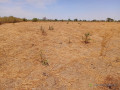 haute-productivite-vaste-terrain-agricole-de-271-hectares-vers-tassette-small-1
