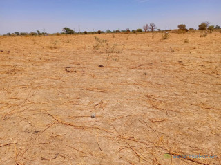 Haute Productivité : Vaste terrain agricole de 2,71 Hectares vers Tassette