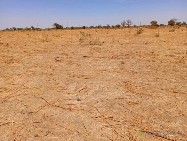 haute-productivite-vaste-terrain-agricole-de-271-hectares-vers-tassette-big-0