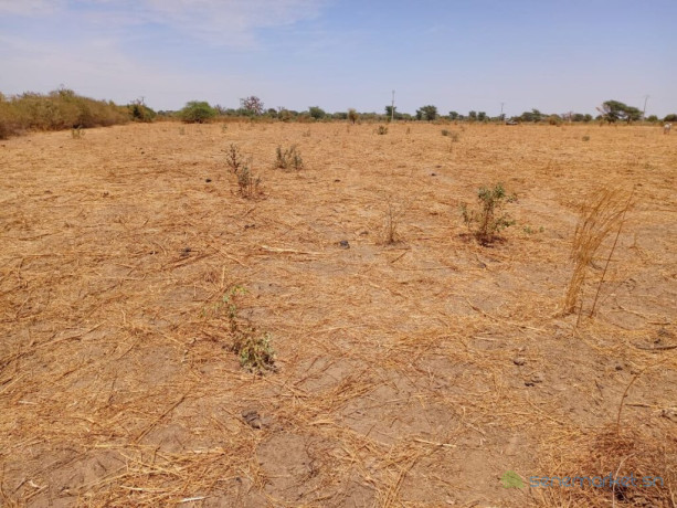 haute-productivite-vaste-terrain-agricole-de-271-hectares-vers-tassette-big-1