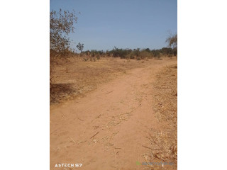 Terrain de 600 mètres carrés à vendre à Sindia Sénégal