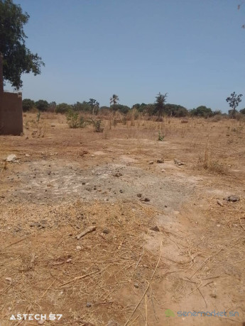 terrain-de-600-metres-carres-a-vendre-a-sindia-senegal-big-2