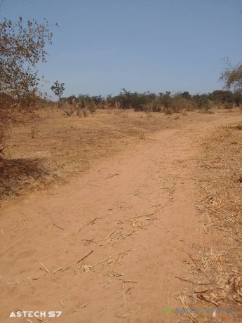 terrain-de-600-metres-carres-a-vendre-a-sindia-senegal-big-0