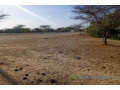 391-ha-a-diama-vers-saint-louis-enbordure-de-la-route-small-3
