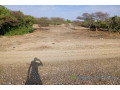 391-ha-a-diama-vers-saint-louis-enbordure-de-la-route-small-4